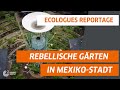 Rebellische Gärten in Mexiko-Stadt | Ecologues Reportage