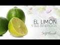 El limón y sus beneficios / 30 Alimentos saludables con Jorge Rausch