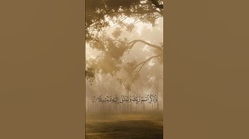سورة المزمل الآية ٨،٩،١٠ بصوت مأمون شامية