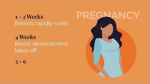 Breast Changes across the Lifespan