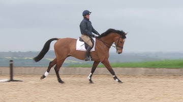 Piggy French shows you how to ride a bounce grid on a corner