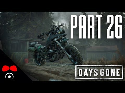 tri-lamaci-naraz-days-gone-26