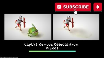 3 Free Methods to Cleanly Remove Objects from Videos | CapCut