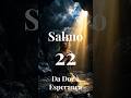 Salmo 22 🙏 Da Dor à Esperança #fé #Deus #oração #shorts