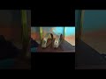 Stainless Steel Arms Buffing #stailnlesssteel #buffing #shine #stainlesssteelpolishing #viralvideo