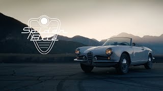 1956 Alfa Romeo Giulietta Spider: Spider Bite