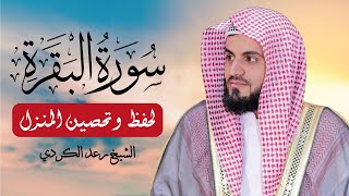 سورة البقرة كاملة بصوت خاشع يهز القلوب 💔 | الشيخ رعد محمد الكردي