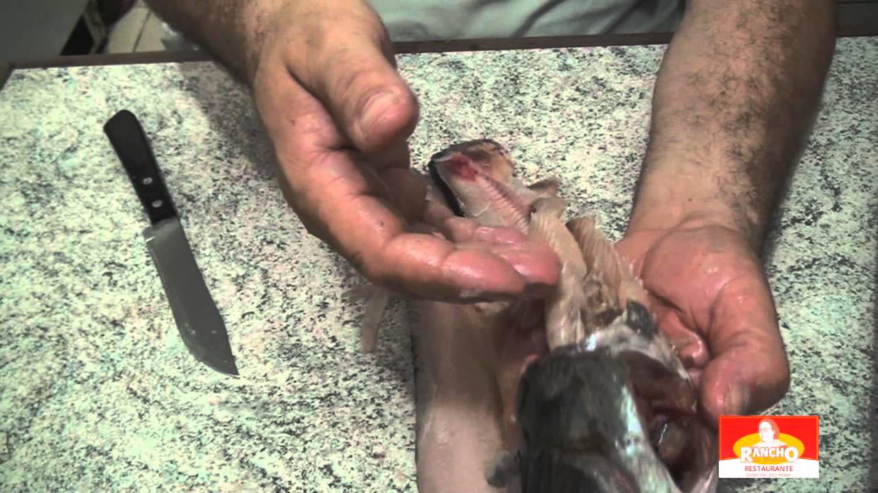 Como fazer uma TRAÍRA SEM ESPINHAS