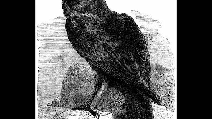 The Raven - Allan Poe - Interpreted by Eduardo Sor...