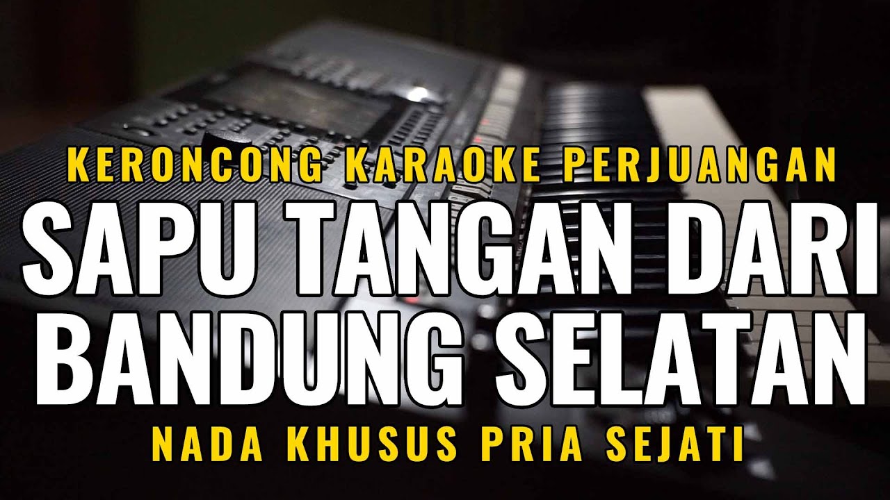 Sapu Tangan Dari Bandung Selatan - Ismail Marzuki - Minus One Pop Keroncong [ Karaoke ] Nada Pria