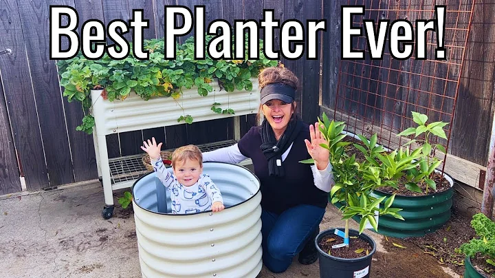 VEGO Garden Self-Watering Planter - It Has Wheels!!!