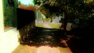 Toon It Test #2 (Hallucination)