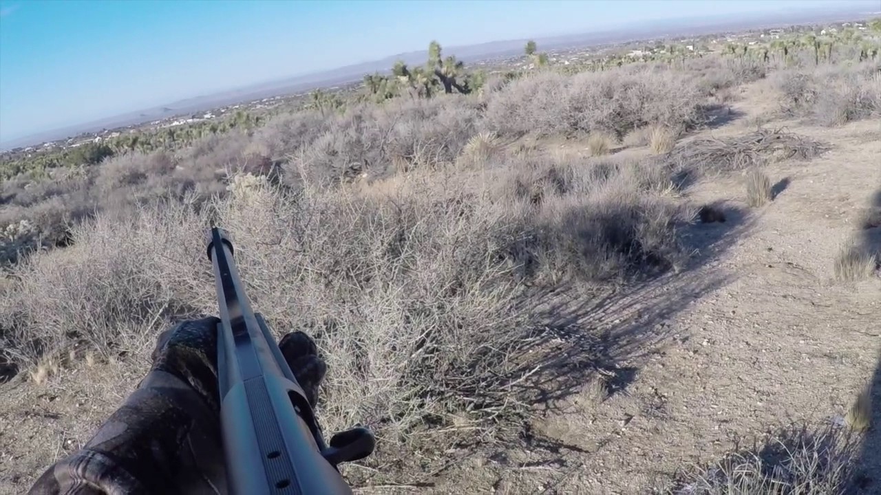 Southern California Predator Hunt 2016 YouTube