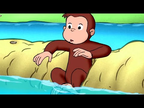 George O Curioso 🐵Peixe Pequeno, Lago Menor Ainda 🐵Compilação 🐵O Macaco🐵 Desenhos Animadoss