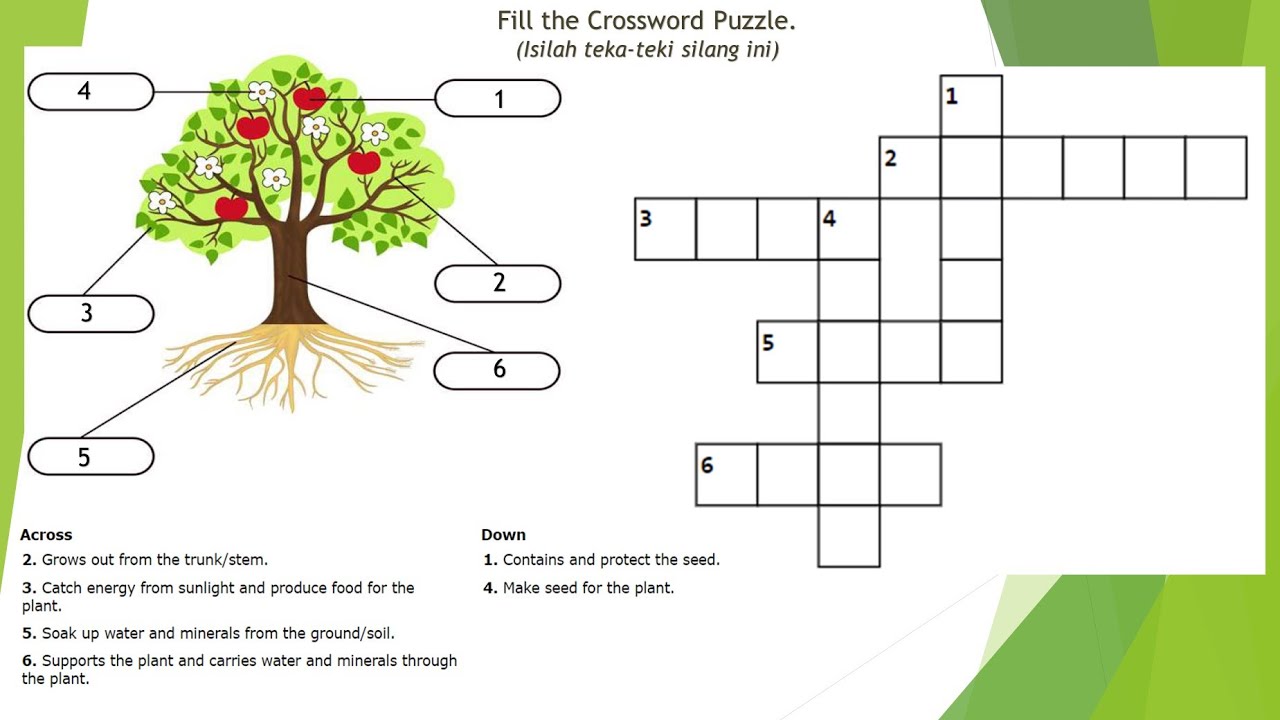 Кроссворд растения. Crossword Puzzle.