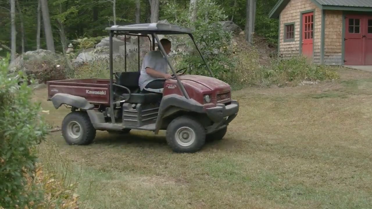 Lawn Renovation