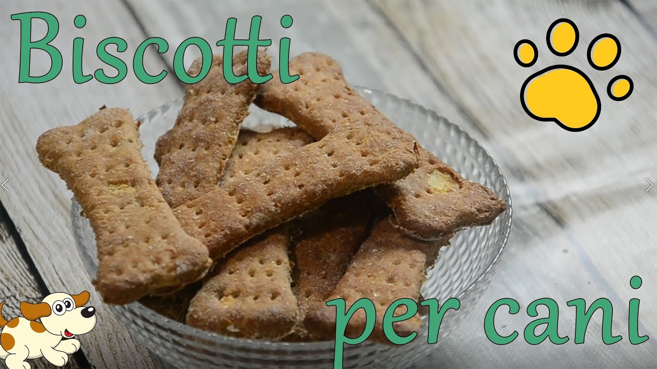 Biscotti per cani fatti in casa🐶