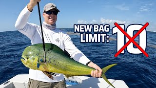 Watch This Before Mahi Mahi Fishing