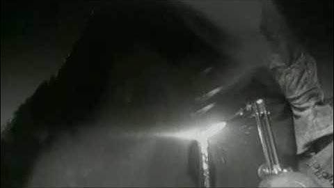 Delerium - Flowers Become Screens [Official Music Video]