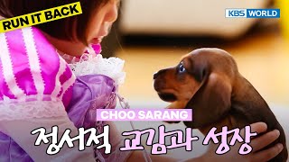 Sarang and Yuto Hang out with Kyoro Family🐕 [TRoS Run It Back] | KBS WORLD TV