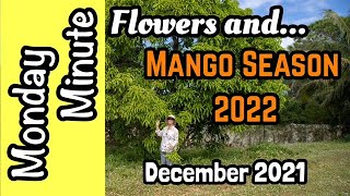 Monday Minute- Flowers and Mango Season 2022 (December 2021)