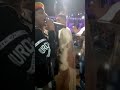 اسمع اغنية الوسكي من احمد احمد بكير اسمع اغنية الوسكي من احمد احمد بكير