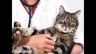 Linn Veterinary Hospital Albany OR 97321-3749