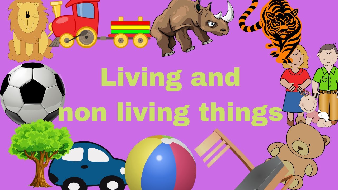 Living and non living things for children Learn living and non