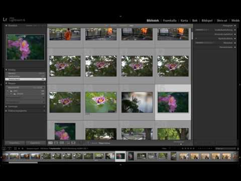 Video: Hur sparar jag en förinställning i Lightroom?