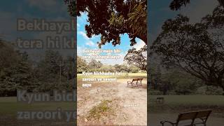 Download Lagu This song reveals a lover’s anguish unable to forget their beloved#softlyandtenderly#kabirsingh#love MP3