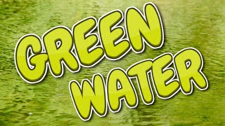 Why is my pond water green? A Complete Guide