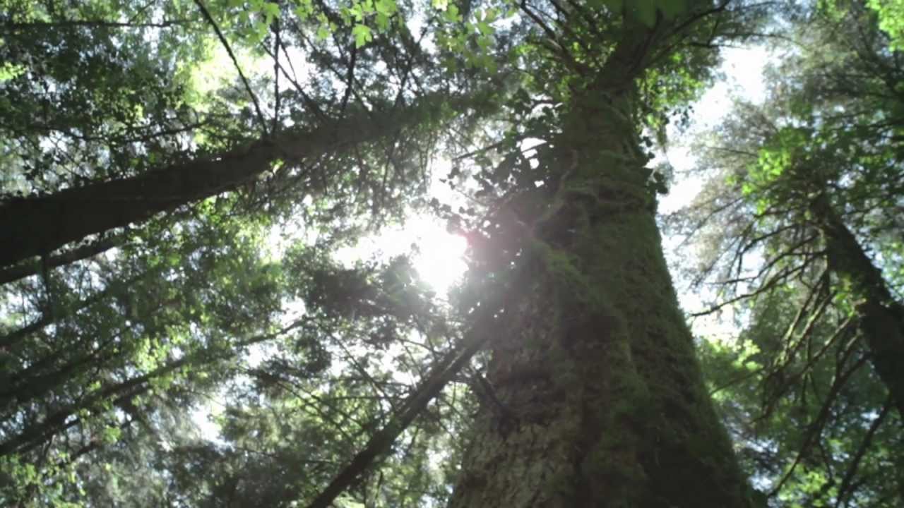 DOC: Trasformazione e valore del paesaggio rurale storico