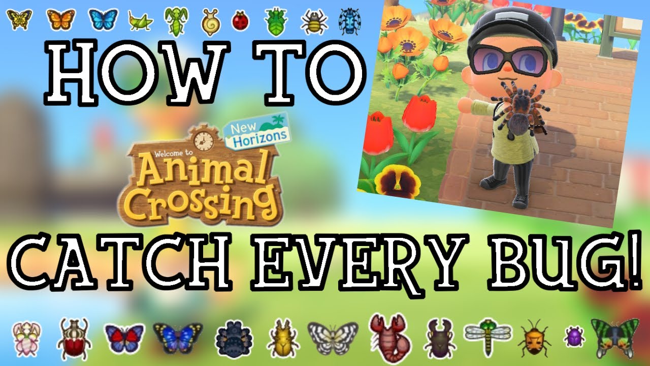 How To Catch Every Bug in Animal Crossing New Horizons New Horizons