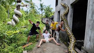 Brave Experts Rescue Girl from Ferocious Giant White Python in Abandoned House
