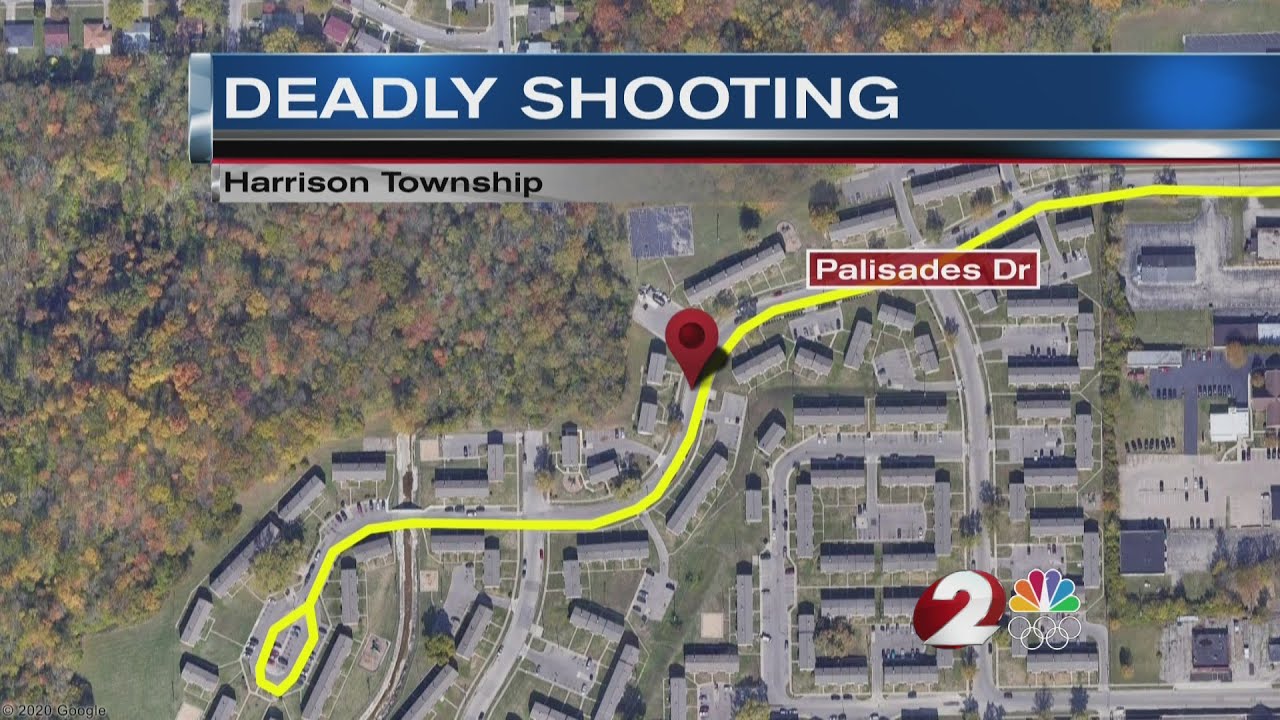 Coroner identifies man killed in Tuesday shooting on Palisades Dr ...