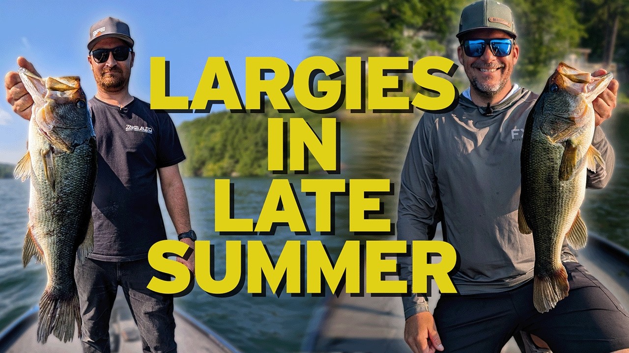 BIG Largemouth in Late Summer! | Drop Shot, Jerkbait & Neko Rig