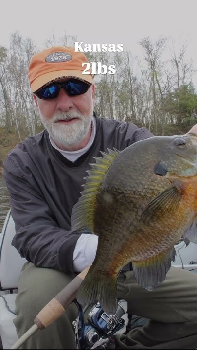 #youtubeshorts #fish #fishing #bluegillrecord #fishingvideo #