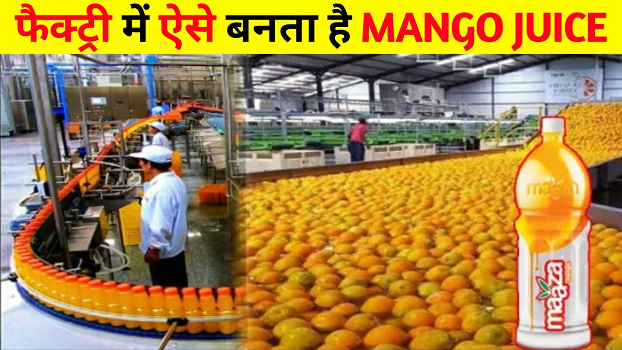 Mango Juice Factory Main Kaise Banta Hai? How Mango Juice is Produced