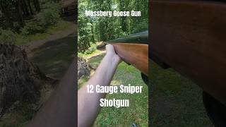 Mossberg Goose Gun - Because Shotguns Can Identify as Sniper Rifles in 2024