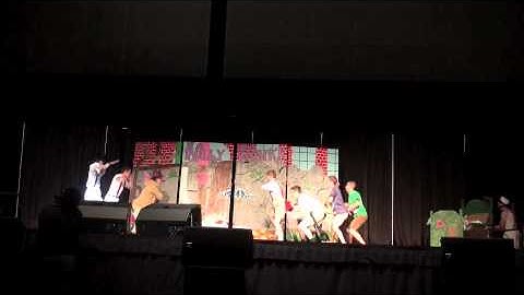 1st Place at 2011 UNC Charlotte AIRBAND: Lambda Chi Alpha Fraternity
