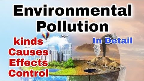what is environmental pollution its types causes effects and control measure