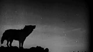 Gone  My Darkest Days slow  Reverb 