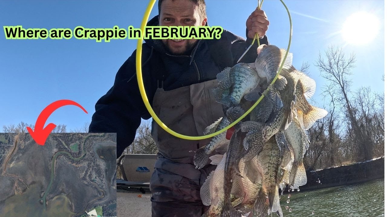 HOW to LOCATE and CATCH LIMITS of FEBRUARY crappie just like THIS on your lake!