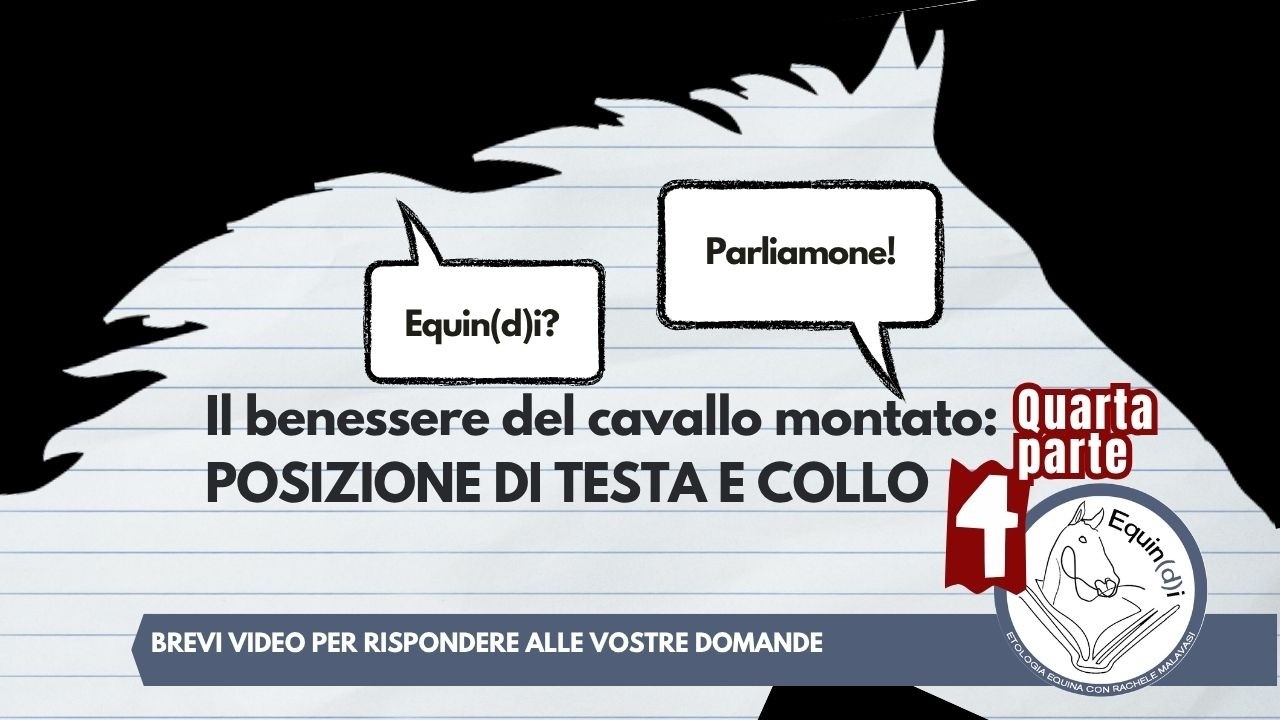 Equin(d)i? PARLIAMONE! con la dott.ssa Rachele Malavasi - Etologia Equina