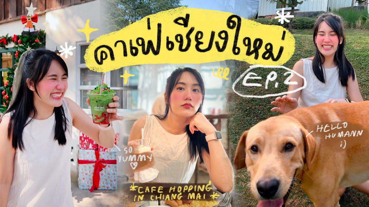 ♡ รวมร้านอร่อย คาเฟ่ฮิตเชียงใหม่ 2022  | MayyR in Chiangmai EP.2 #เมอาพากิน