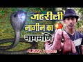 नाग के माथे से नागमणि छिनना महँगा पड़ा - The truth of real nagmani | Jharkhand Snake Saver Sandeep