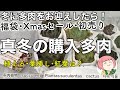 150【多肉植物】冬だって多肉を増やしたい！真冬の購入多肉・植え付け・葉挿し・紅葉は？