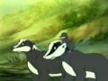 Les animaux du bois de quatsous  pisode 37 part 1avi