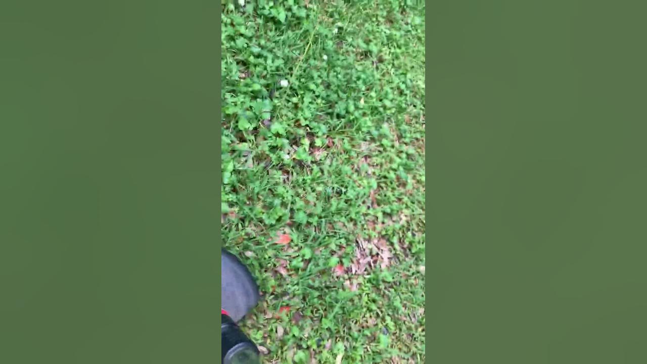 Zip Ties on a Weed Eater YouTube