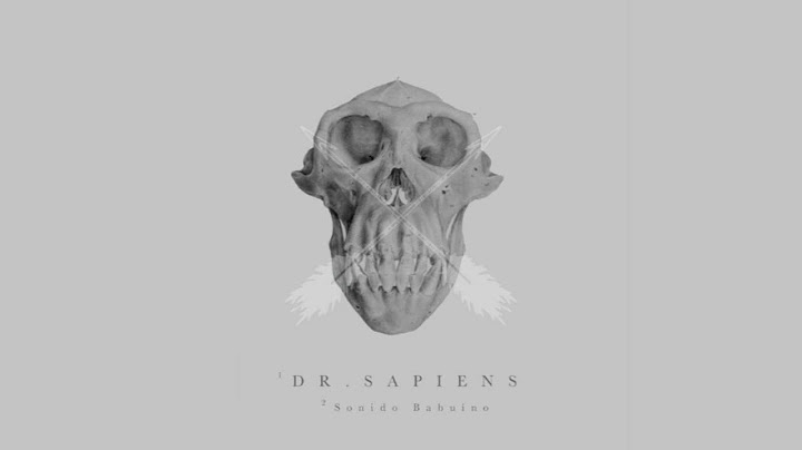 Doctor Sapiens - Salgo de fiesta